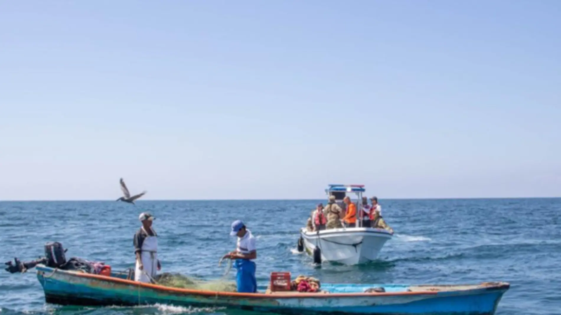 barco pesca